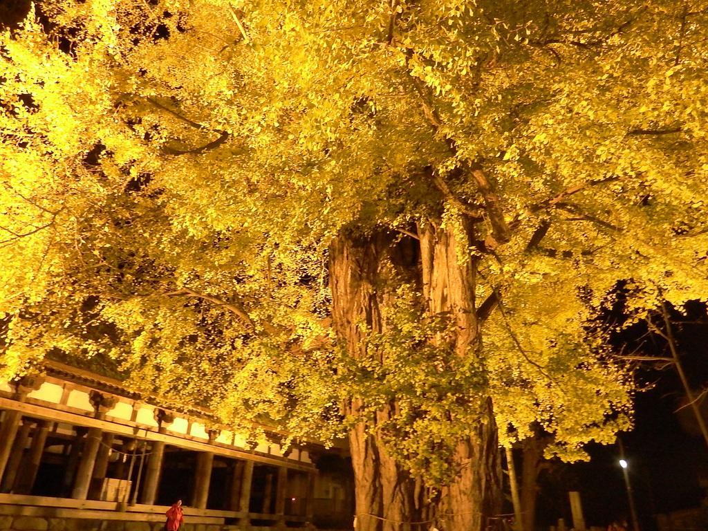 อัตสึชิออนเซน ยะมะกะตะยะ Hotel Kitakata ภายนอก รูปภาพ