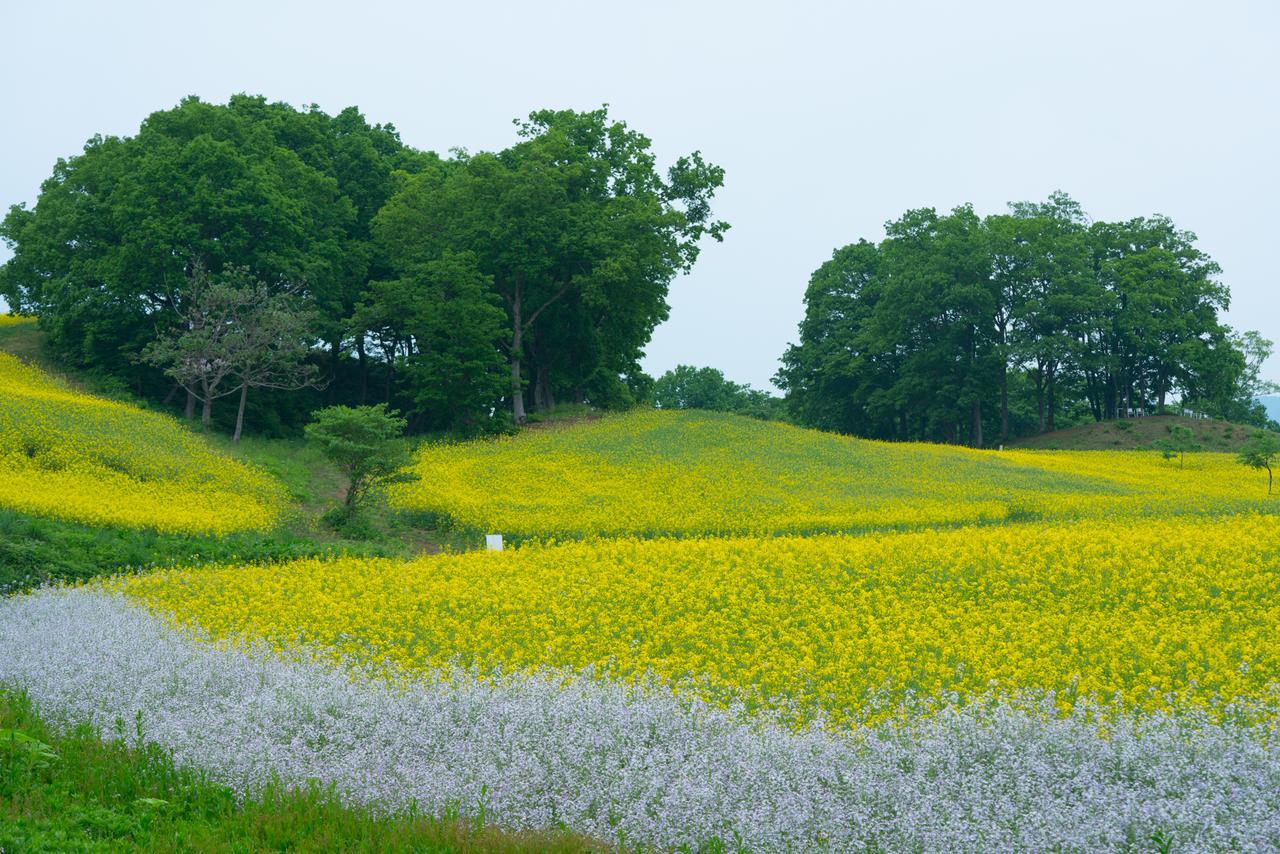 อัตสึชิออนเซน ยะมะกะตะยะ Hotel Kitakata ภายนอก รูปภาพ