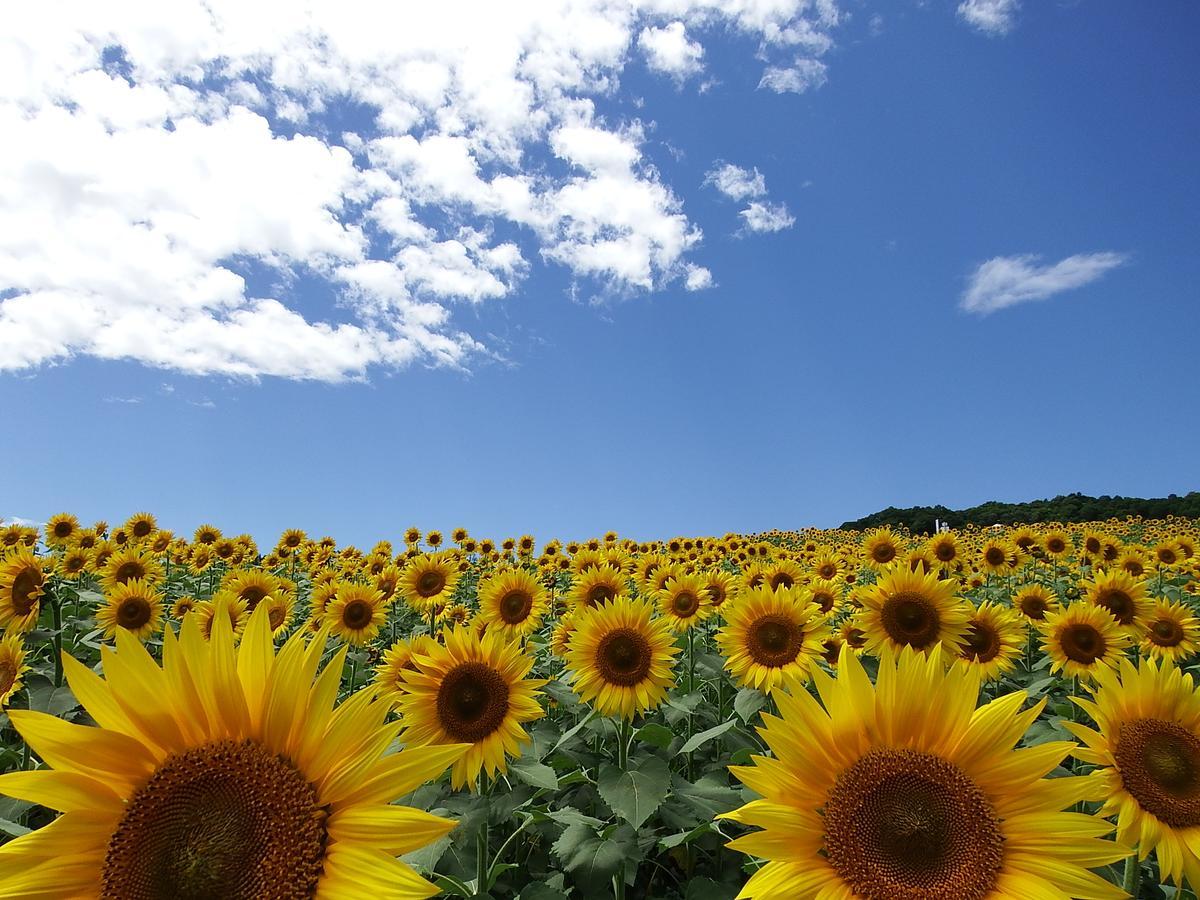 อัตสึชิออนเซน ยะมะกะตะยะ Hotel Kitakata ภายนอก รูปภาพ